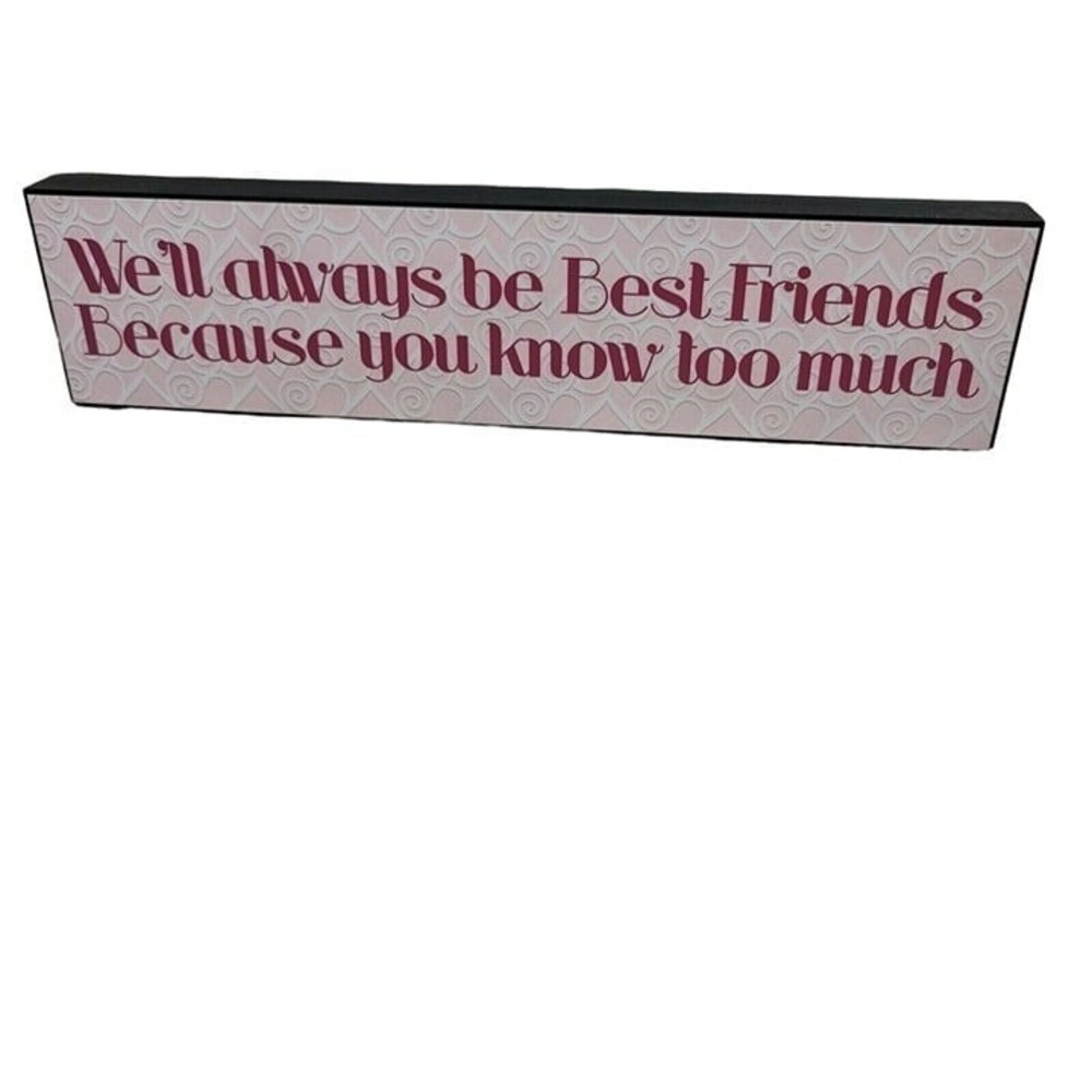 Wood Box Sign Best Friends Pink Funny Friendship Quote 9.5 Inch
